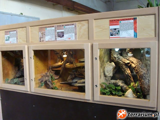 DSC00053