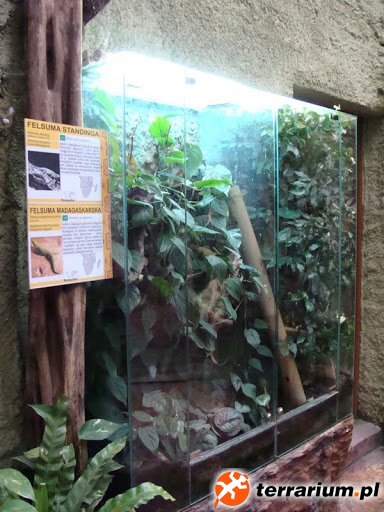 Zoo Wrocław