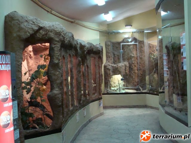 Zoo Wrocław