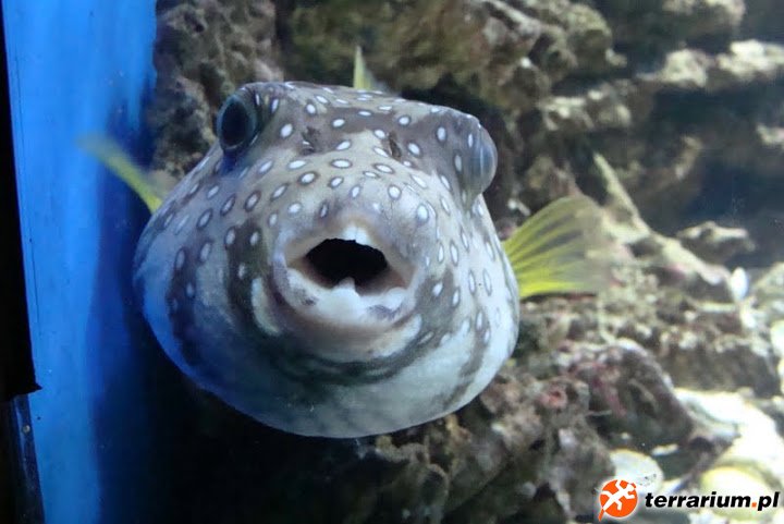 Zoo Wrocław