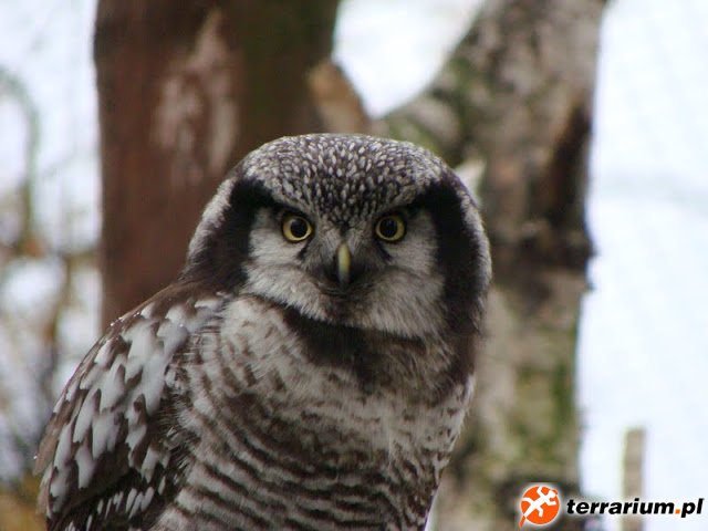 Zoo Wrocław