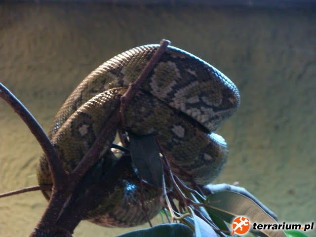 Zoo Wrocław
