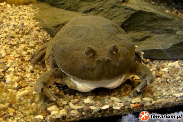 Zoo Wrocław