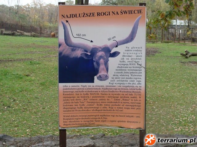 Zoo Wrocław
