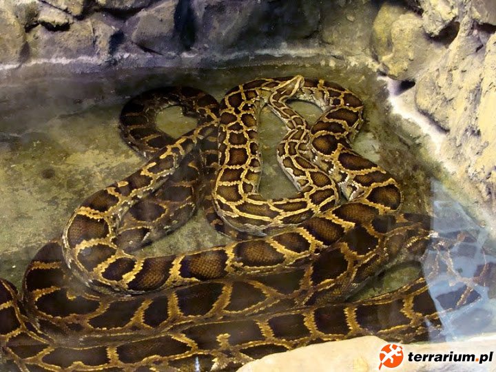 Zoo Wrocław