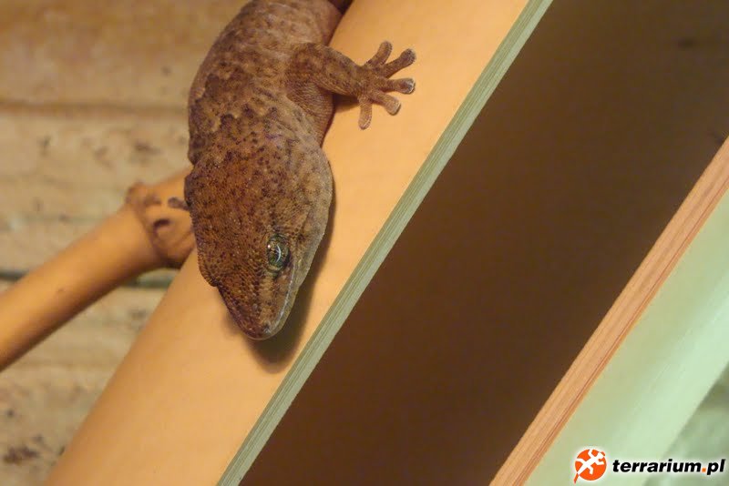 Zoo Wrocław