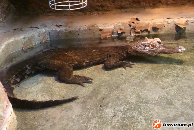 Zoo Wrocław