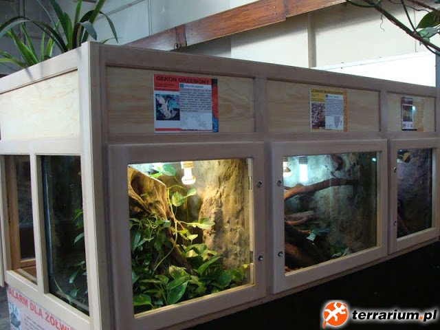 DSC00050