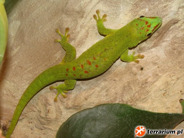 DSC00199