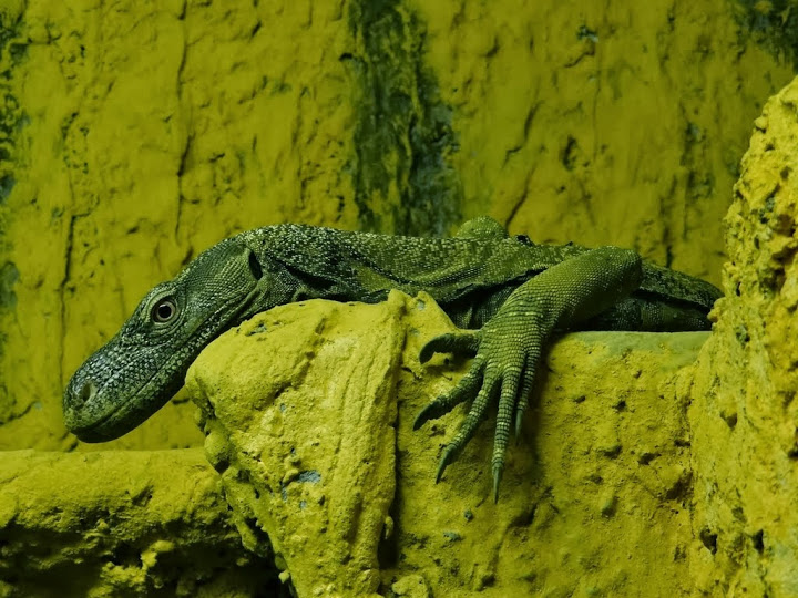 DSC08969