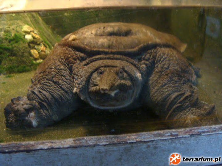 Zoo Wrocław