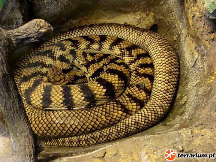 ZOO Wrocław