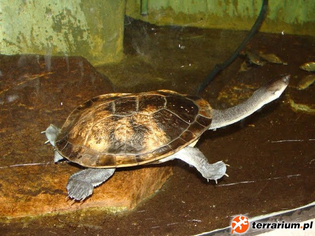 DSC00175