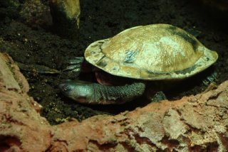 Zoo Wrocław