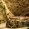 Zoo Wrocław