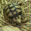 Zoo Wrocław