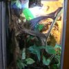 Zoo Wrocław