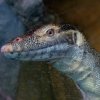 Zoo Wrocław
