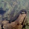 Zoo Wrocław