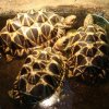 Zoo Wrocław
