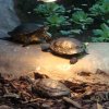 Zoo Wrocław