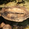 Zoo Wrocław