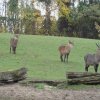 Zoo Wrocław