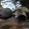 Zoo Wrocław