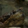 Zoo Wrocław