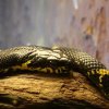 Zoo Wrocław