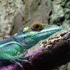 Zoo Wrocław