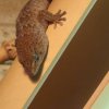 Zoo Wrocław