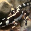 Zoo Wrocław
