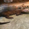 Zoo Wrocław
