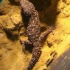 Zoo Wrocław