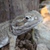 Zoo Wrocław