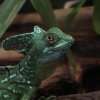 Zoo Wrocław