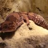 Zoo Wrocław