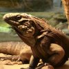 Zoo Wrocław