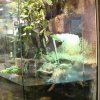 Zoo Wrocław