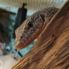 Zoo Wrocław