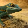 Zoo Wrocław