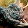 Zoo Wrocław