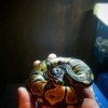 IMG 20150203 224029
