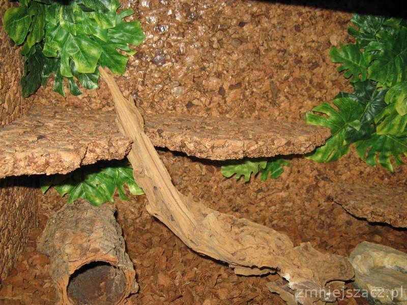 Terrarium 60x35x40