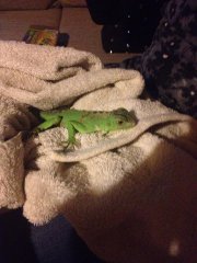 pierwszy dzien u mnie :) pierwszy dzien u mnie :)