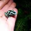 Dendrobates auratus "green"