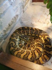 20150407 1008141a 20150407 1008141a