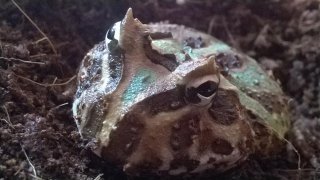 WP 20150802 035 WP 20150802 035