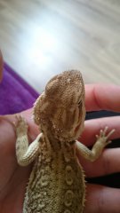 DSC 0105 Kopia DSC 0105 Kopia